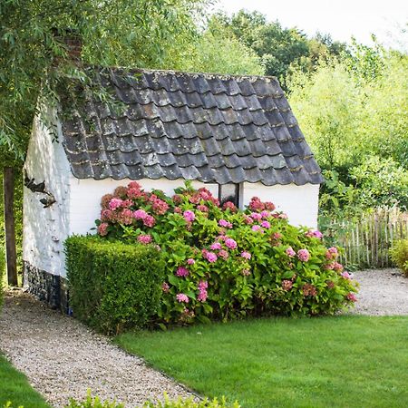 Bed and Breakfast Stee 23 à Hertsberge Extérieur photo