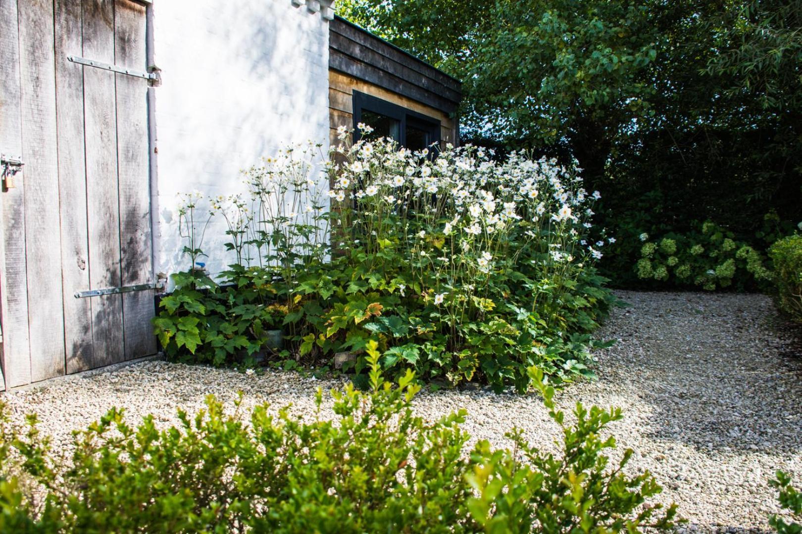 Bed and Breakfast Stee 23 à Hertsberge Extérieur photo